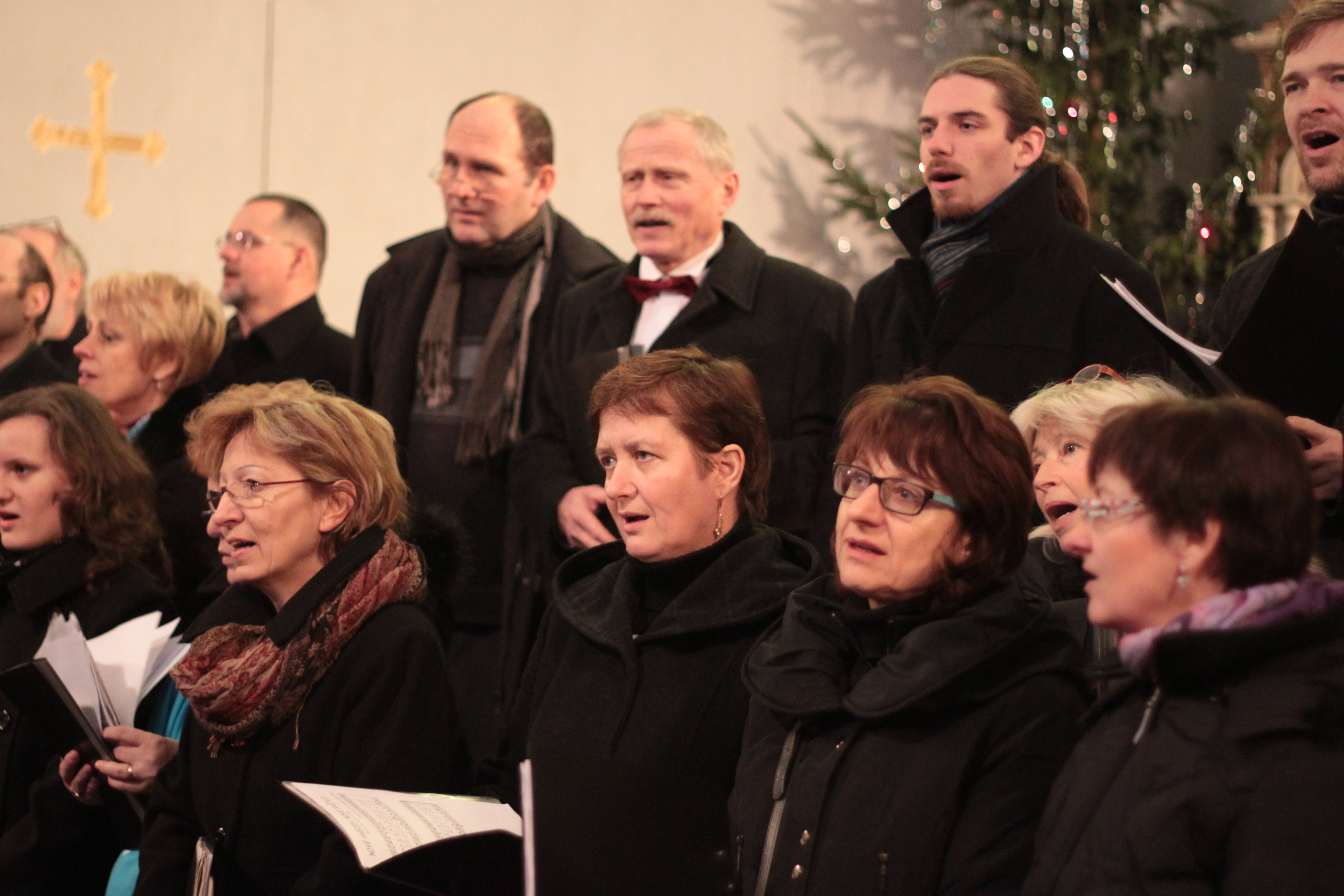 ti krli 2014